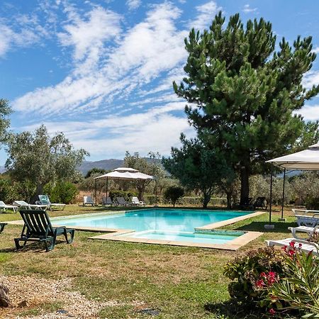 Quinta Do Chao Da Vinha Villa Carragozela Exteriör bild